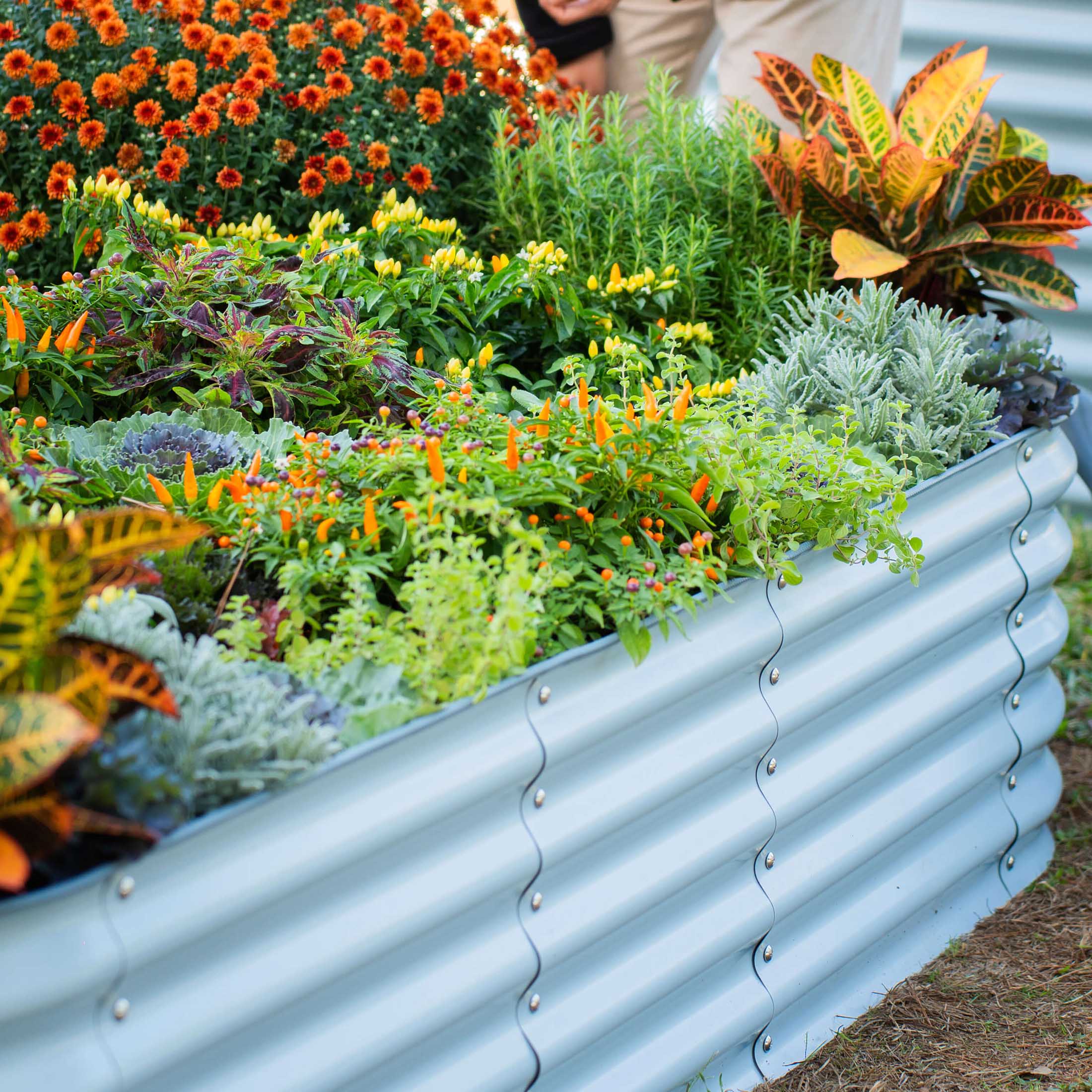 17" Tall 10 In 1 Jumbo Modular Metal Raised Garden Bed Kit - Image 22