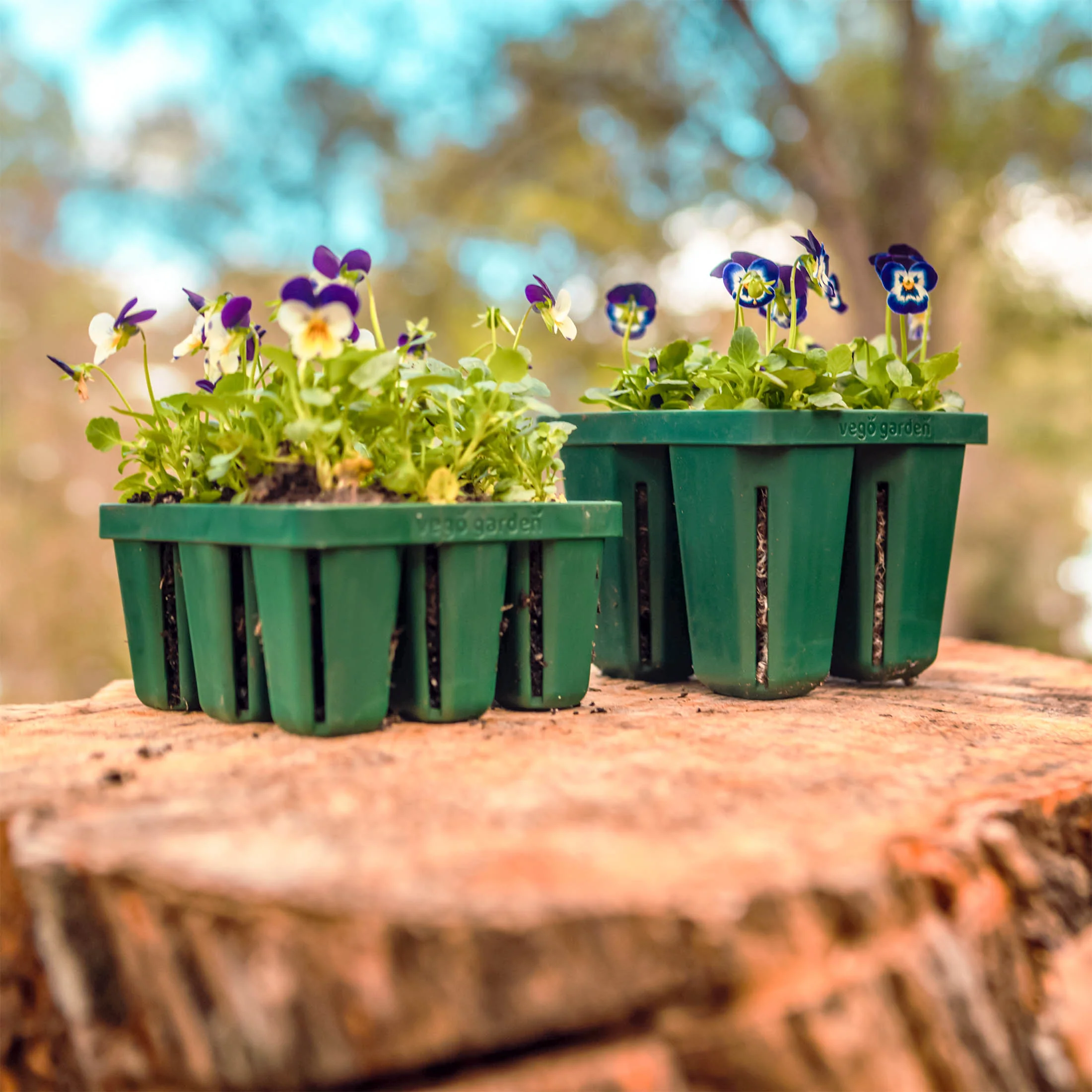 Seed Starting Bundle - 10" x 10" - Image 3